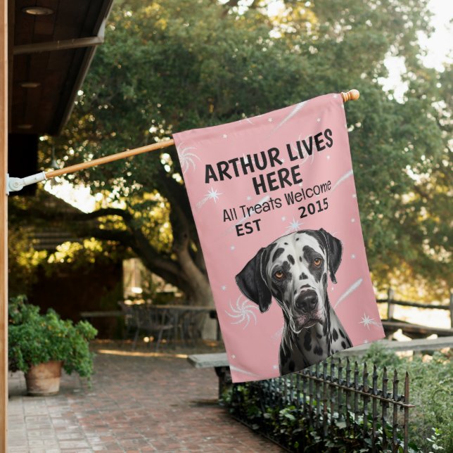 Custom Dalmatian House Flag (In SItu)