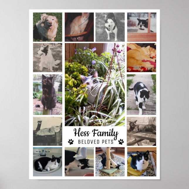Custom Design Hess Family Pets Poster (Front)