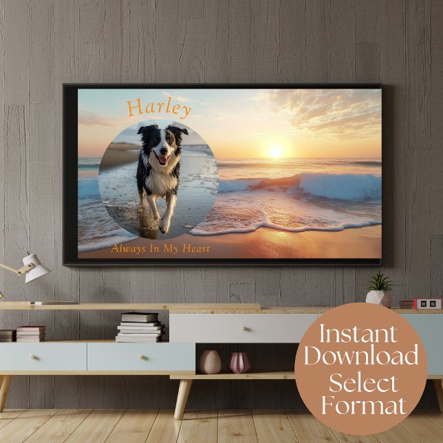 Custom Digital Beach Pet Memorial TV Art Poster (Creator Uploaded)