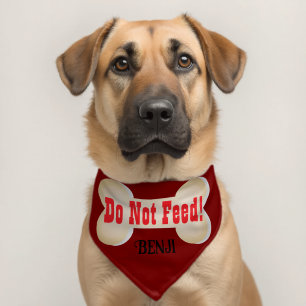 Custom Do Not Feed Dog Bandana Collar