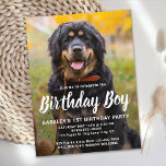 Custom Dog Birthday Pet Photo Party Invitation Postcard<br><div class="desc">Birthday Boy! Invite friends and family to your puppy or dog birthday party with this simple pet photo birthday boy design dog birthday invitation card. Add your pup's favorite photo and personalize with name, birthday number, and all dog birthday party info! Change to Birthday Girl of a girl pup. Visit...</div>