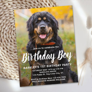 Custom Dog Birthday Pet Photo Party Invitation Postcard