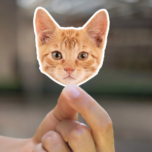 Custom Dog Cat Face Pet Lover Pet Mom Personalized Sticker