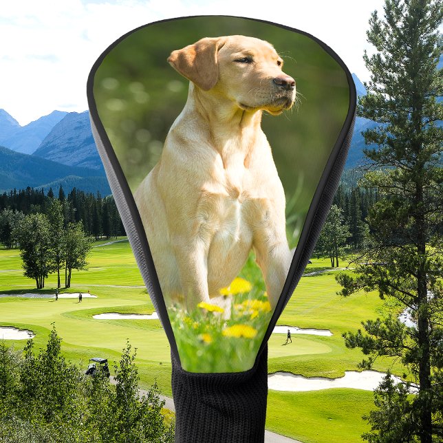 Custom Dog Cat Photo Simple Personalized Golf Head Cover (Creator Uploaded)