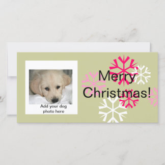 Custom Dog Christmas Photo Cards Pink Sage