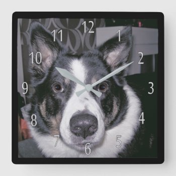 Custom Dog Clock by moonlake at Zazzle