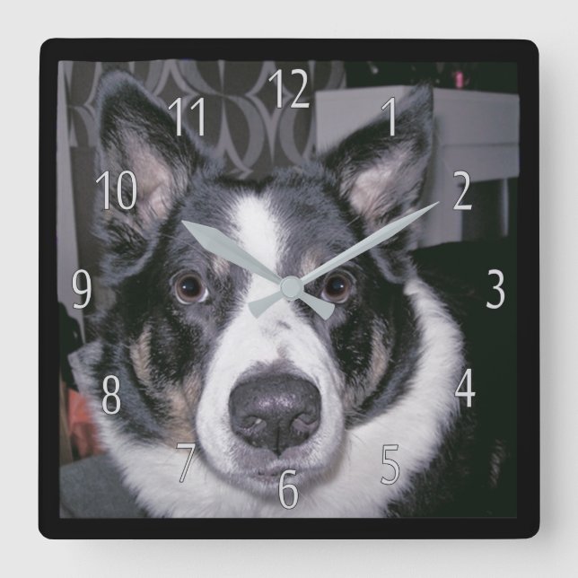Custom Dog Clock (Front)