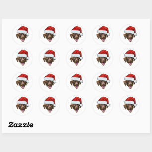 Custom Dog Face Photo Santa Hat Christmas Classic Round Sticker