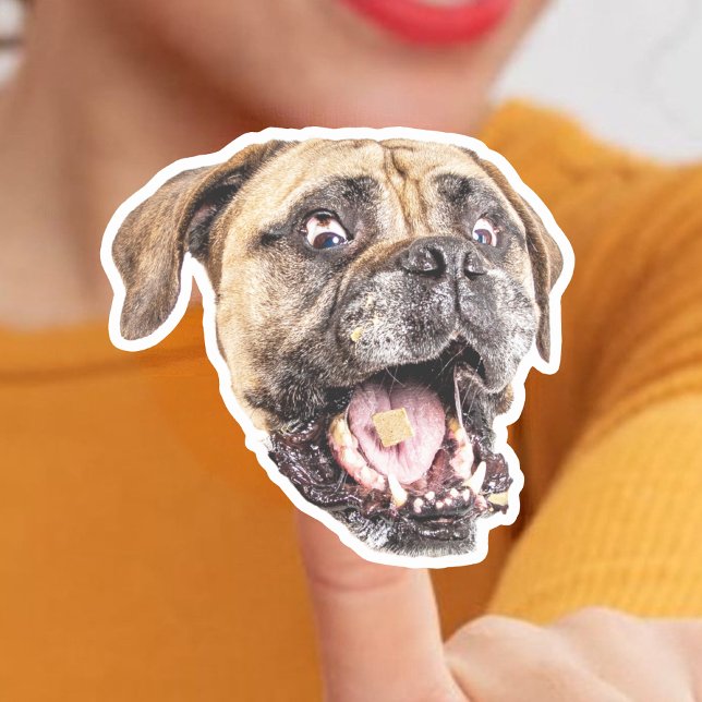 Custom Dog Face Vinyl Stickers (Creator Uploaded)