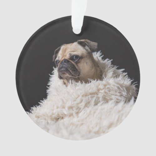 Custom Dog Holiday Ornament  Family Pet  Pug