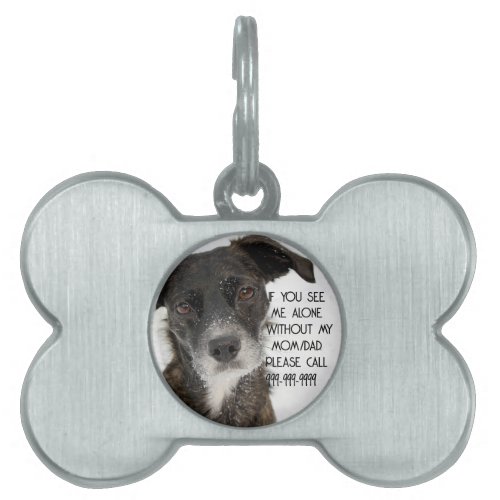 Custom Dog ID Tag Plate for Collars Photo Dog Tag