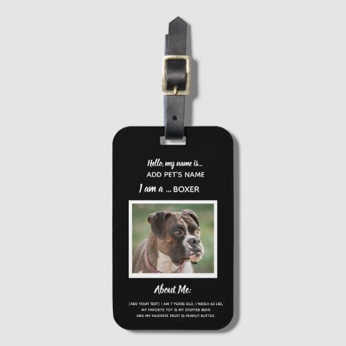 Custom Dog ID Tags