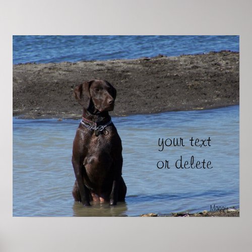 Custom Dog in the Lake Water_ Whats He Thinking Poster