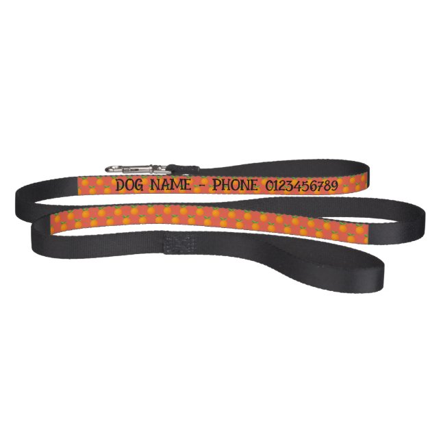Custom dog leash with cute orange fruit pattern (Full)