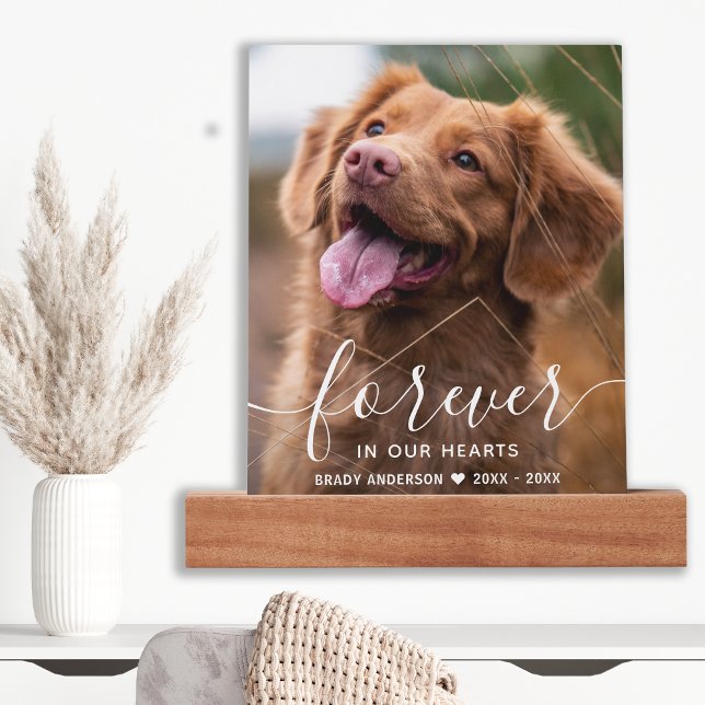 Custom Dog Memorial Sympathy Pet Loss Photo Picture Ledge (Creator Uploaded)