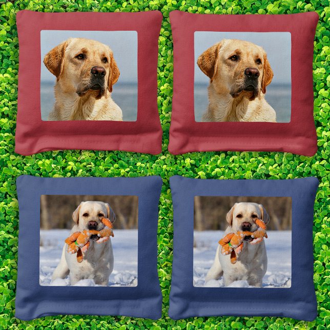 Custom Dog Modern Pet Photo      Cornhole Bags (Creator Uploaded)