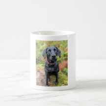 Custom Dog Mug-The Perfect Last-Minute Gift!