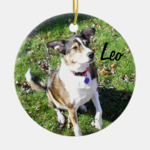 Custom Dog Ornament