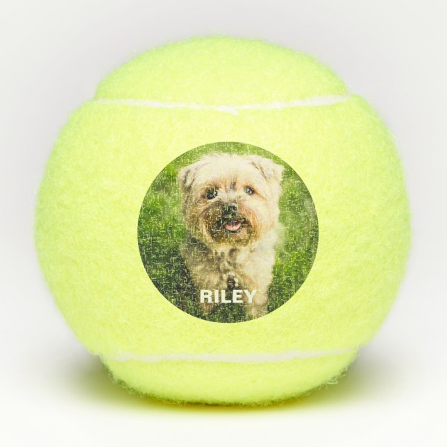 Custom Dog Pet Photo Name Puppy Fetch Toy Tennis Balls (Front)