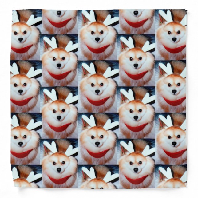 Custom Dog Pet Photo Pomeranian Christmas Bandana (Front)