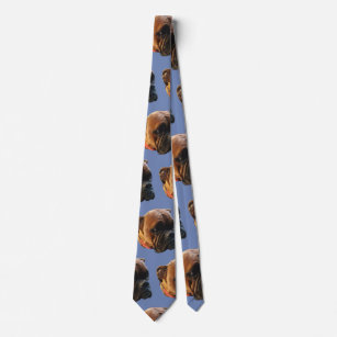 Boxer deals dog tie
