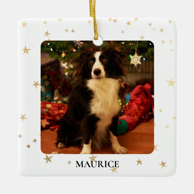 Custom Dog Photo Ceramic Ornament (Front)