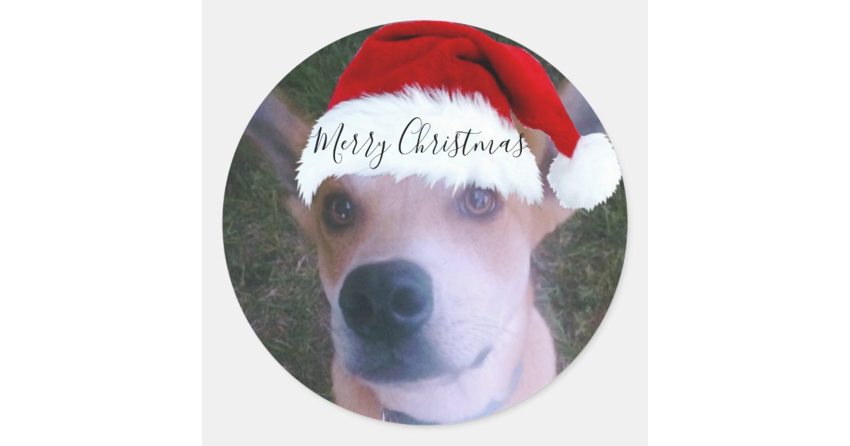 Custom Dog Photo Christmas Classic Round Sticker | Zazzle