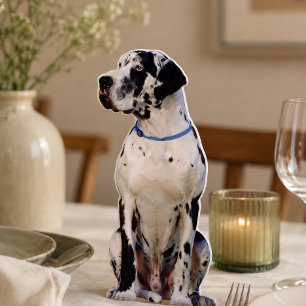 Custom Dog Photo Contour Cutout