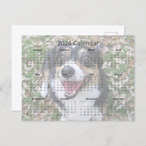 Custom Dog Photo Cute Pet 2024 Monthly Calendar Postcard