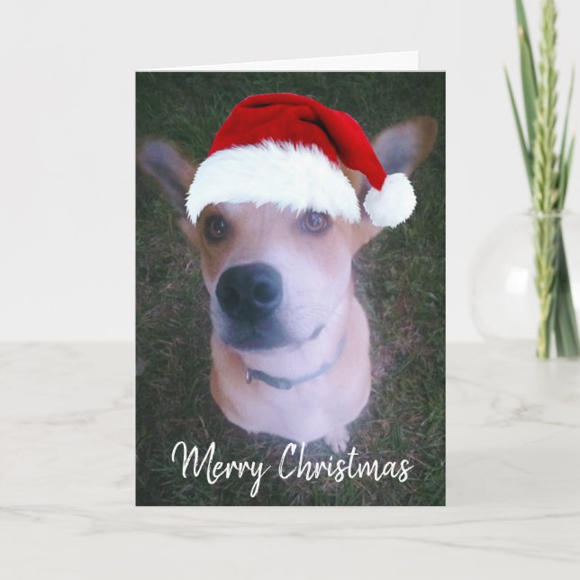 Custom Dog Photo Cute Red Christmas Holiday Card (Front)