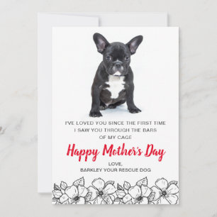 Custom Dog Photo From Rescue Dog Pet Mother's Day Holiday Card