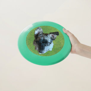 Custom Dog Photo Fun Loving Playtime Best Buddy Wham-O Frisbee