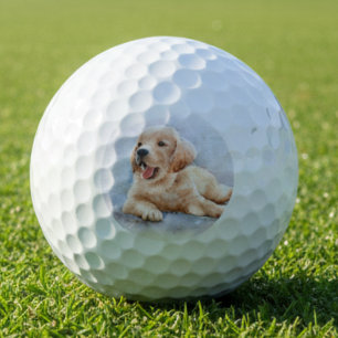 Custom Dog Photo Golf Balls