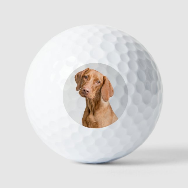 Custom Dog Photo Golf Golf Balls (Front)