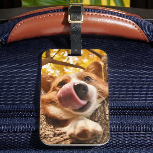 Custom Dog Photo Luggage Tag (Front Insitu 2)