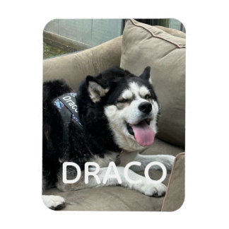 Custom Dog Photo Magnet with Name - Personalized P