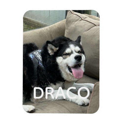 Custom Dog Photo Magnet with Name - Personalized P