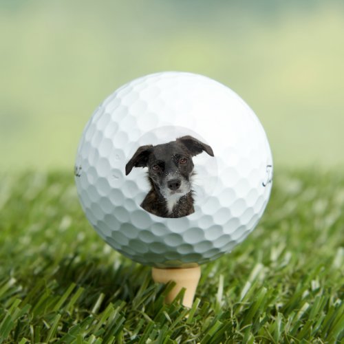 Custom Dog Photo Modern Personalized Golf Ball