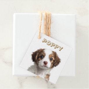 Custom Dog Photo & Name Favor Tags