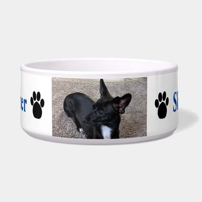 Custom Dog Photo Name Paw Prints Blue Bowl (Front)