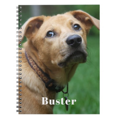 Custom Dog Photo Personalized Notebook