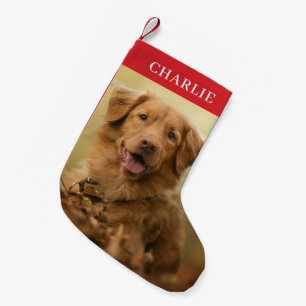 Custom Dog Photo Personalized Pet Small Christmas Stocking