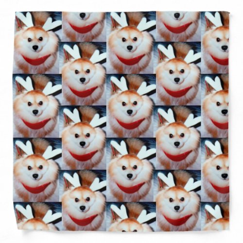 Custom Dog Photo Pet Bandana