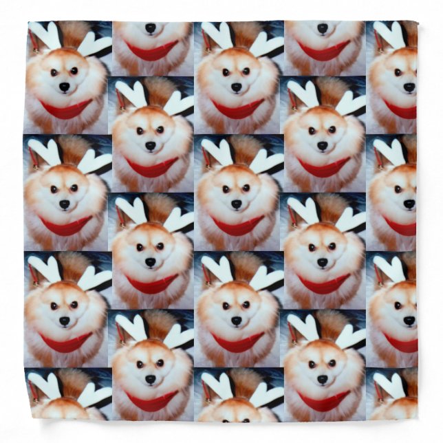Custom Dog Photo Pet Bandana (Front)