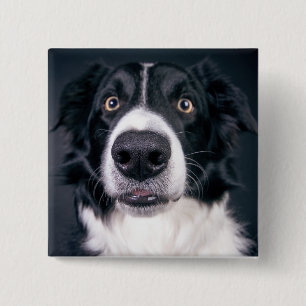 Custom Dog Photo Pet Button