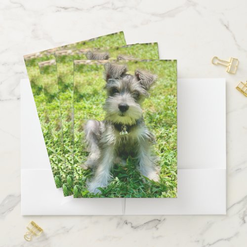 Custom Dog Photo Pocket Folder