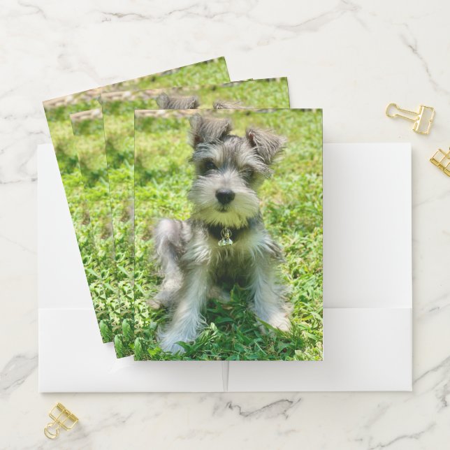 Custom Dog Photo Pocket Folder (In Situ)