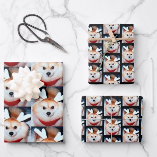 Custom Dog Photo Pomeranian Wrapping Paper Sheets