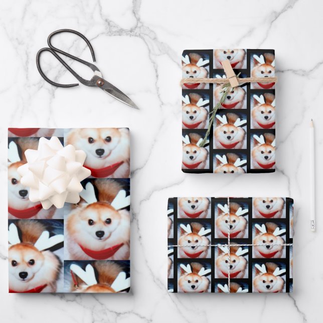Custom Dog Photo Pomeranian Wrapping Paper Sheets (Front)