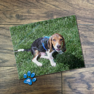 Custom dog photo puzzle
